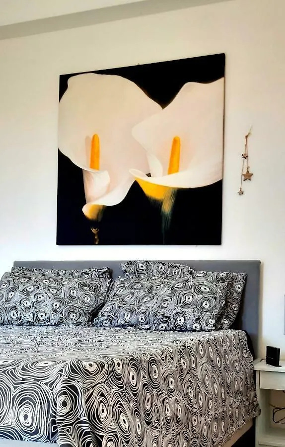 Giuly House Apartment Vada